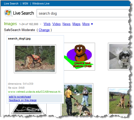 Microsoft Live Search