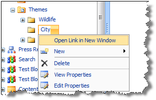 New folder