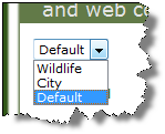 Select Theme