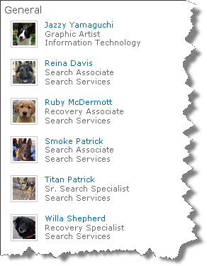 My colleagues