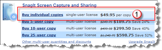Buy Snagit