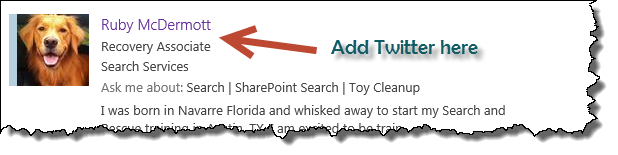 Add Twitter to the Person Card
