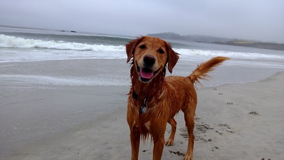 Ruby on the beach!